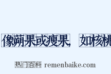 像蒴果或瘦果,如核桃是什么意思的图片